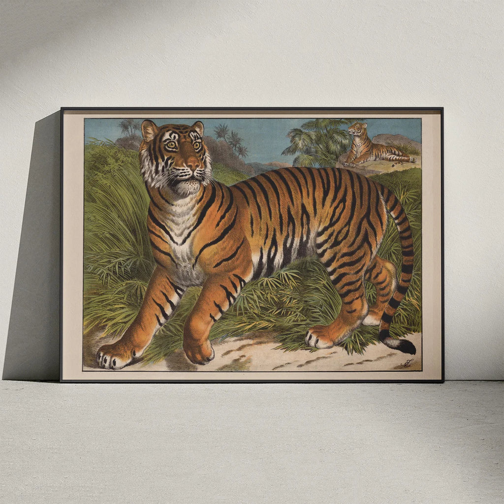 Tiger 1905 - Anskuelsesbillede – billede 3