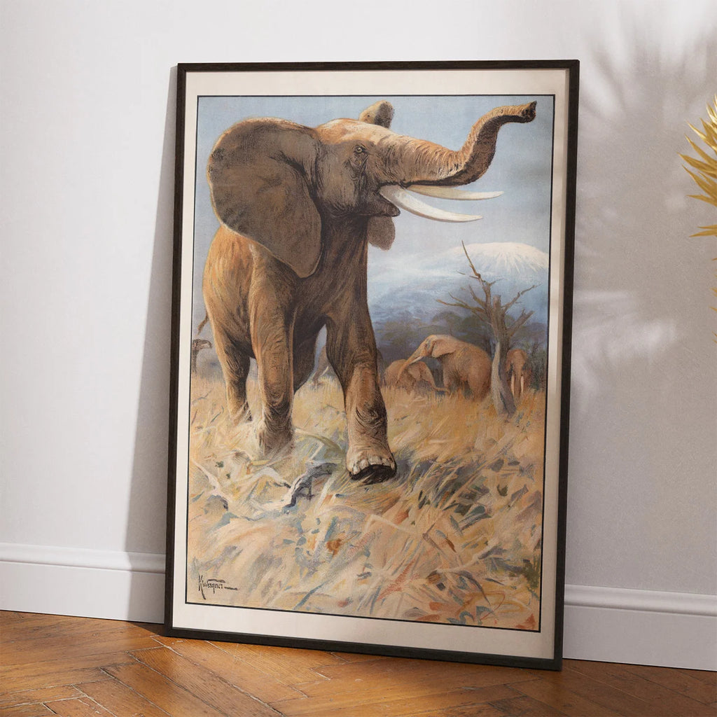 Elefant 1910 - Anskuelsesbillede – billede 2