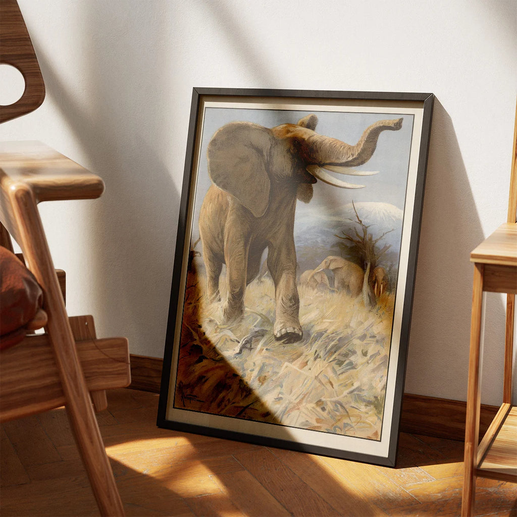 Elefant 1910 - Anskuelsesbillede – billede 3