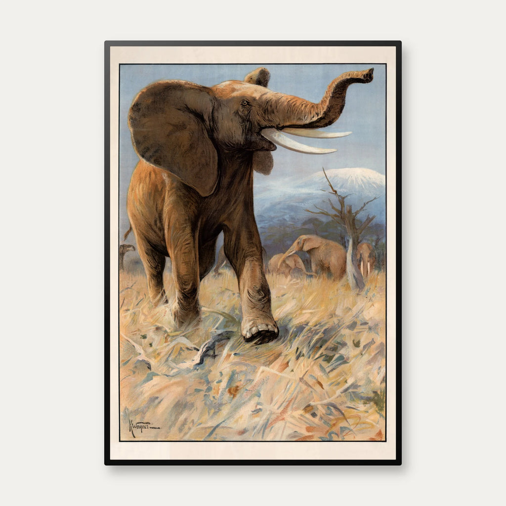 Elefant 1910 - Anskuelsesbillede – billede 1