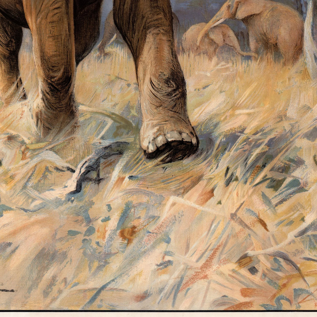 Elefant 1910 - Anskuelsesbillede – billede 4