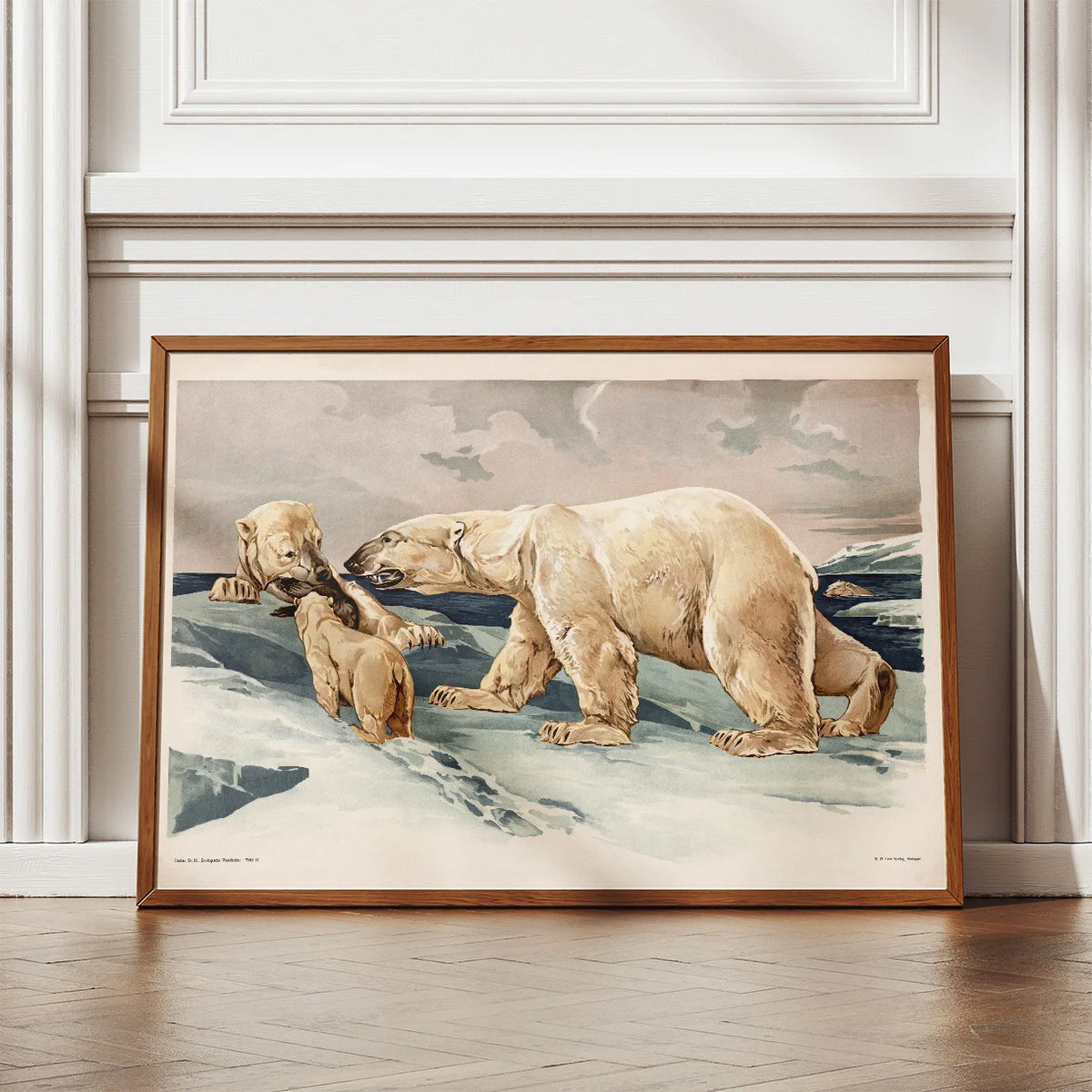 Isbjørn 1910 - Anskuelsesbillede – billede 2