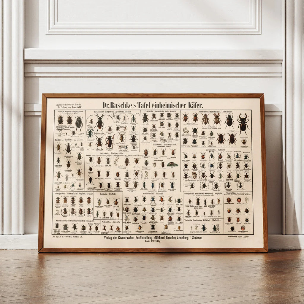 Biller 1910 - Anskuelsesbillede – billede 2