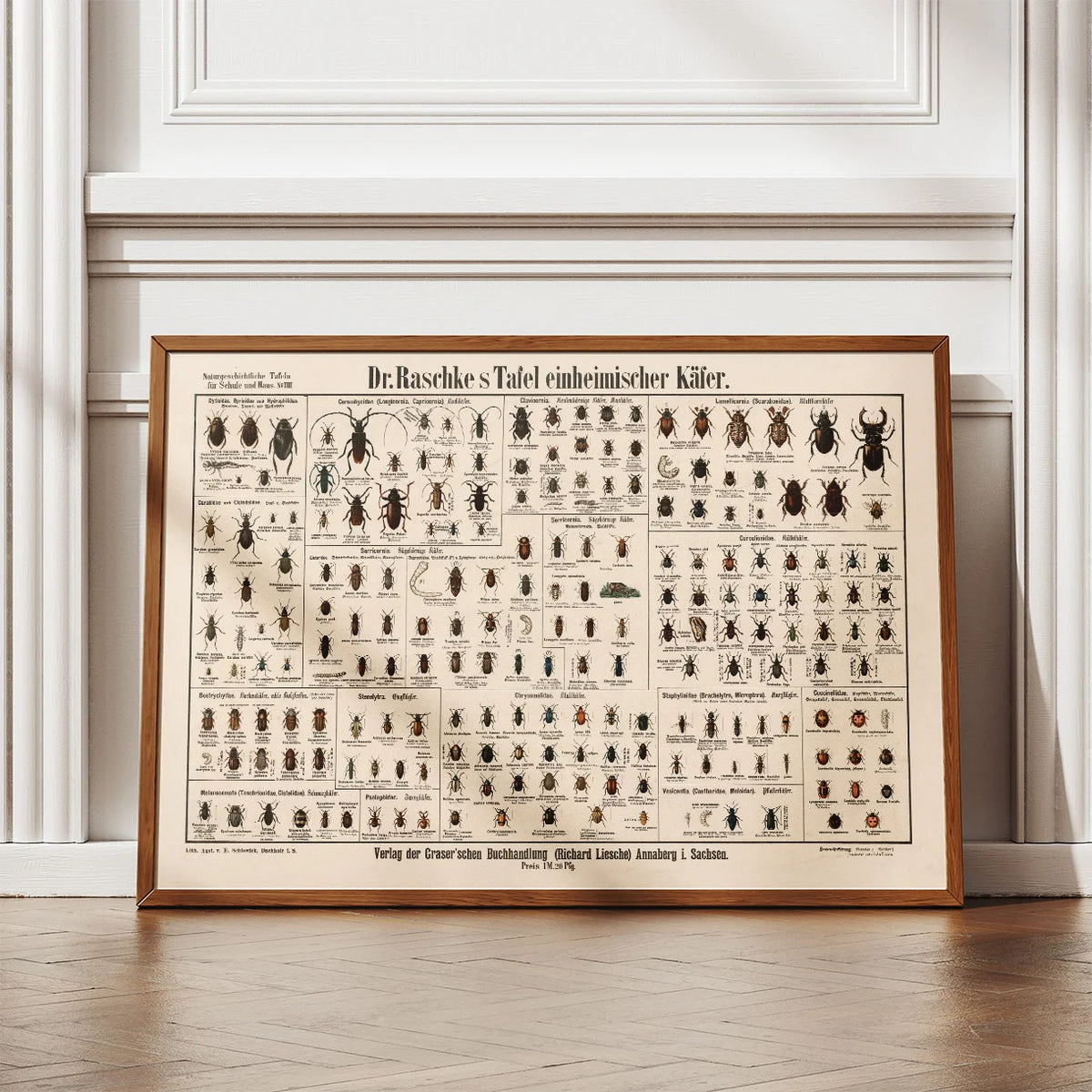 Biller 1910 - Anskuelsesbillede – billede 2