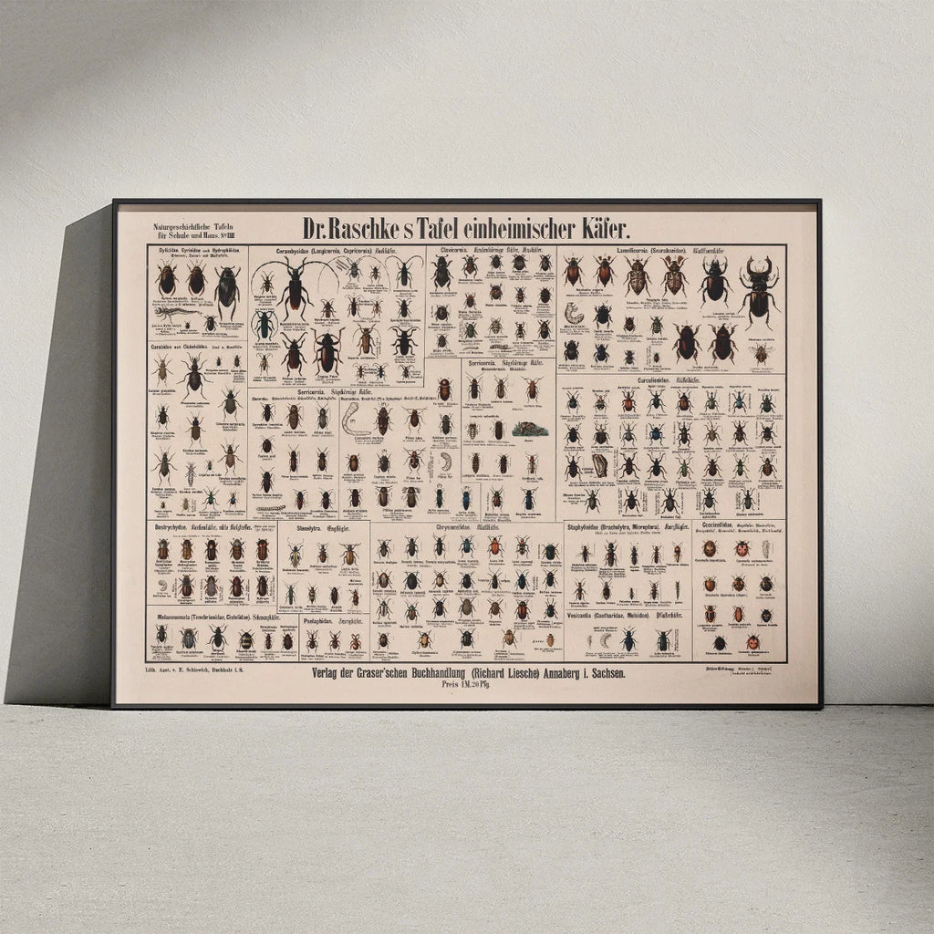 Biller 1910 - Anskuelsesbillede – billede 3