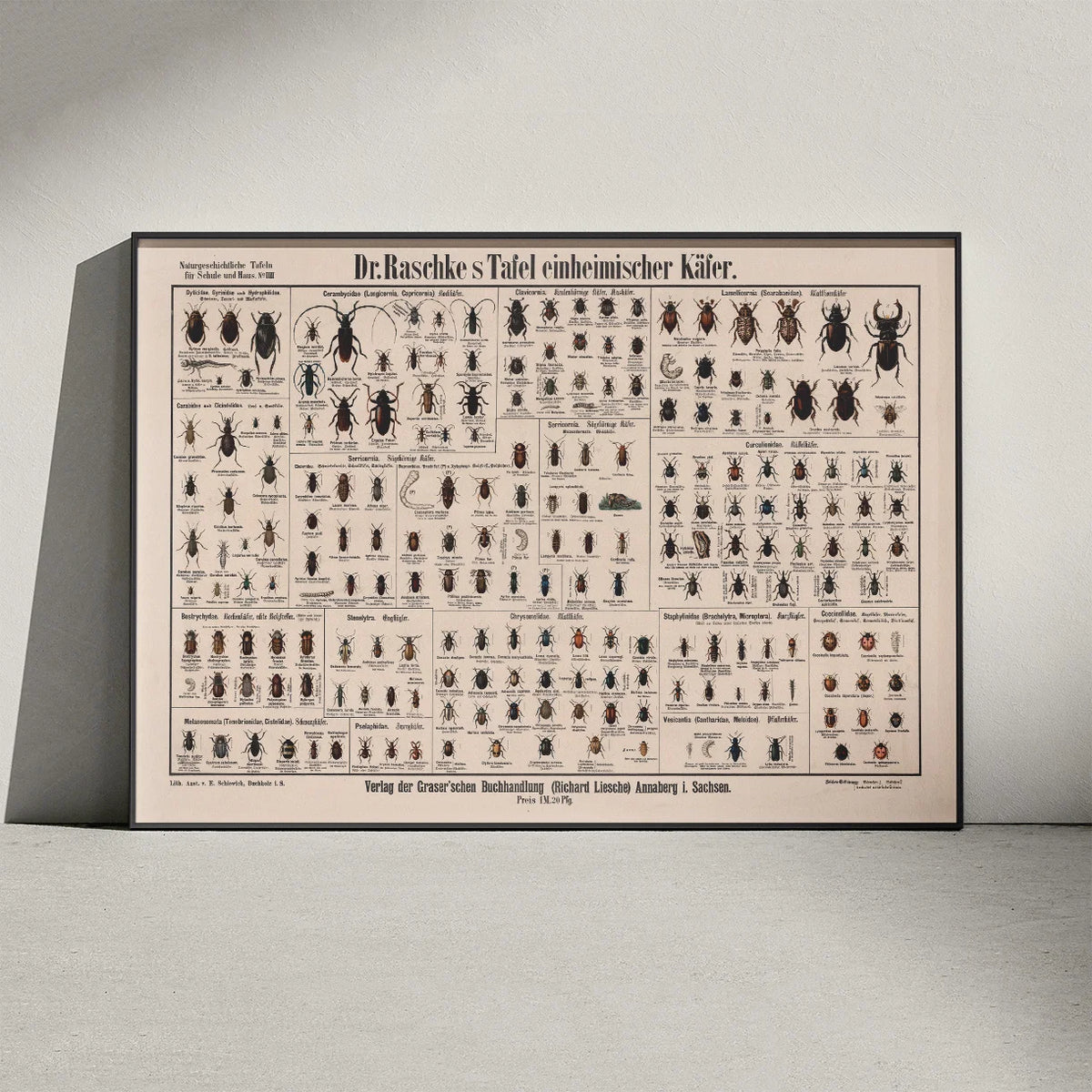 Biller 1910 - Anskuelsesbillede – billede 3