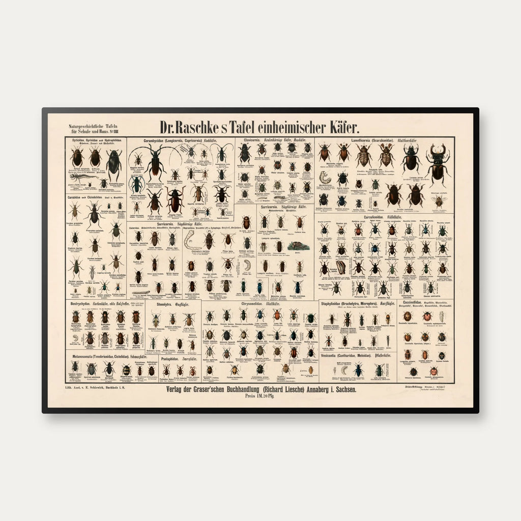 Biller 1910 - Anskuelsesbillede – billede 1