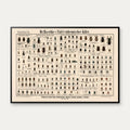 Biller 1910 - Anskuelsesbillede – billede 1