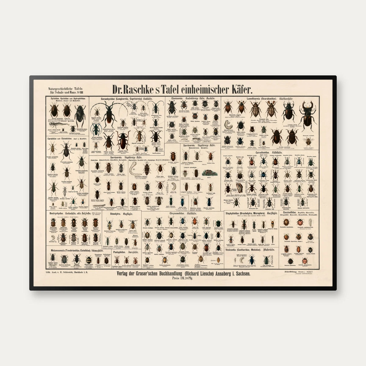 Biller 1910 - Anskuelsesbillede – billede 1
