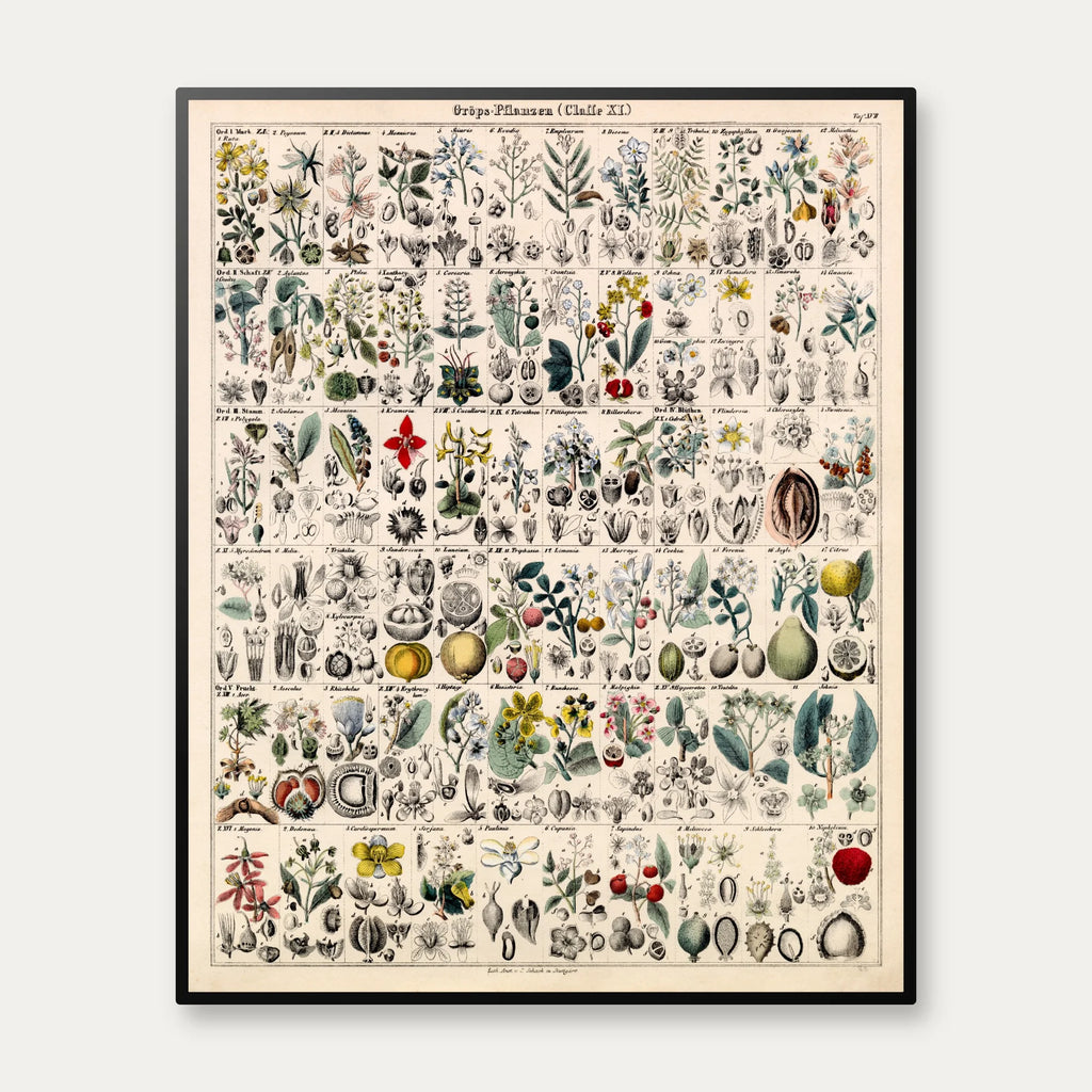 Botanisk gitter 1836 - Anskuelsesbillede - 60×74 cm – billede 1