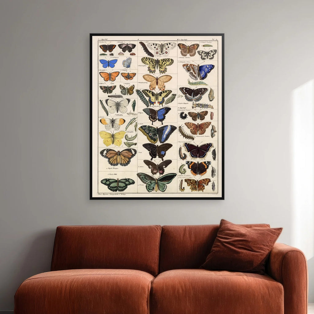 Sommerfugle og larver 1836 - Naturhistorisk tavle - 60×74 cm – billede 2
