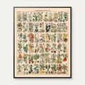 Botanisk artsgitter 1836 - Naturhistorisk tavle - 60×74 cm – billede 1