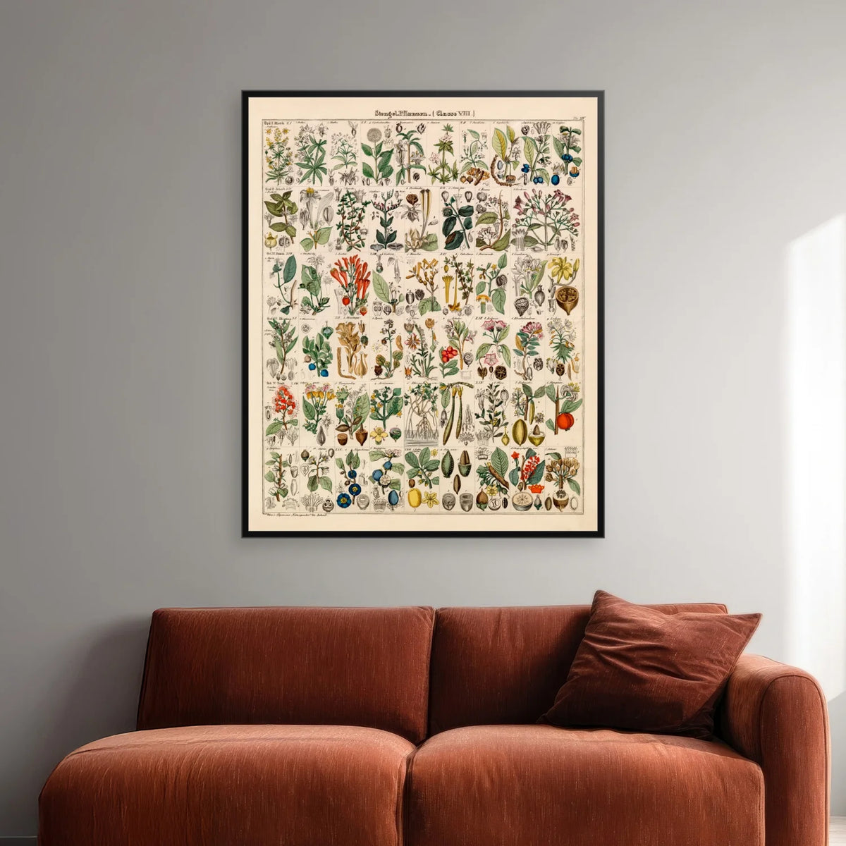Botanisk artsgitter 1836 - Naturhistorisk tavle - 60×74 cm – billede 2