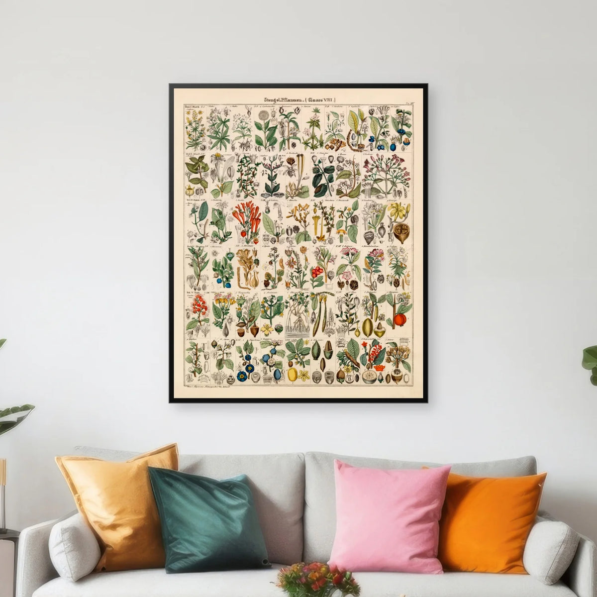 Botanisk artsgitter 1836 - Naturhistorisk tavle - 60×74 cm – billede 3