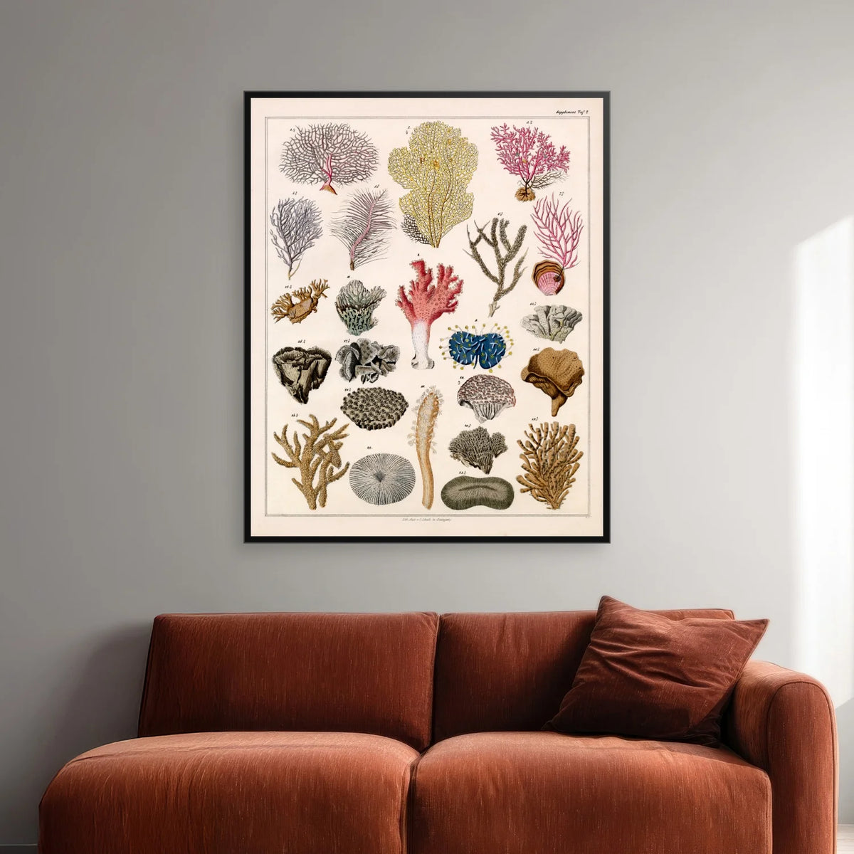 Koraller og søtræer 1836 - Naturhistorisk tavle - 60×74 cm – billede 2