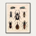 Biller og insekter 1836 - Naturhistorisk tavle - 60×74 cm – billede 1