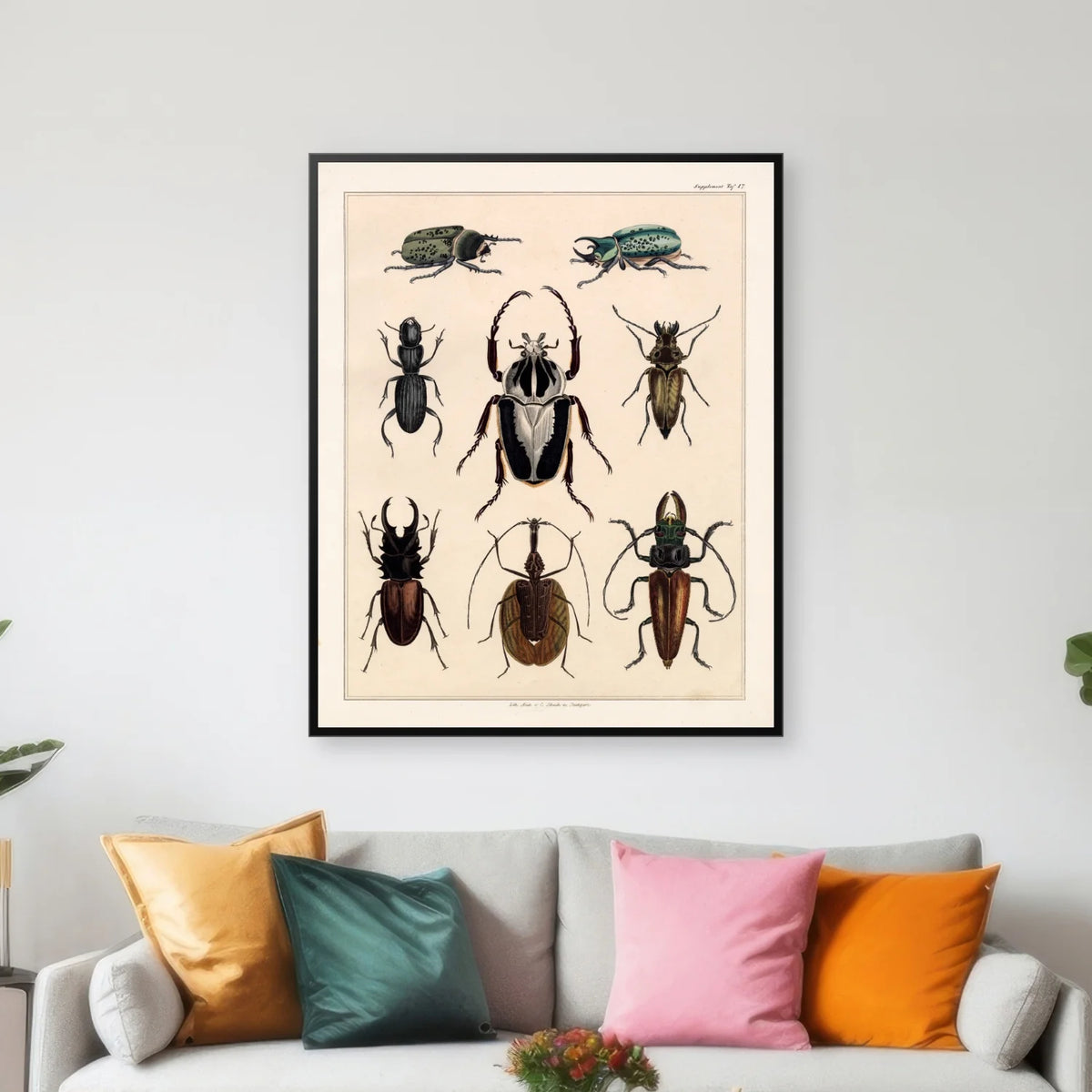 Biller og insekter 1836 - Naturhistorisk tavle - 60×74 cm – billede 3