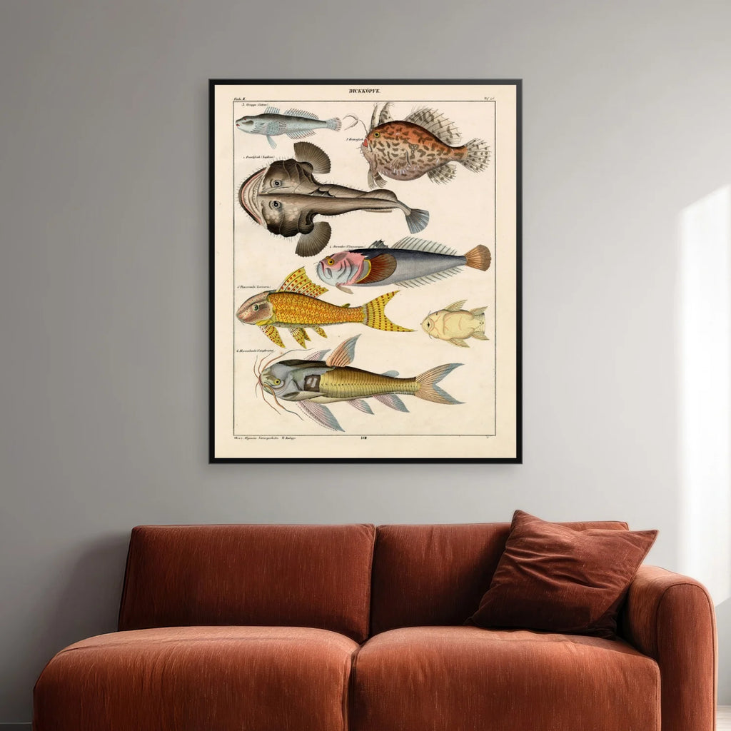 Særlige fisk 1836 - Naturhistorisk tavle - 60×74 cm – billede 2