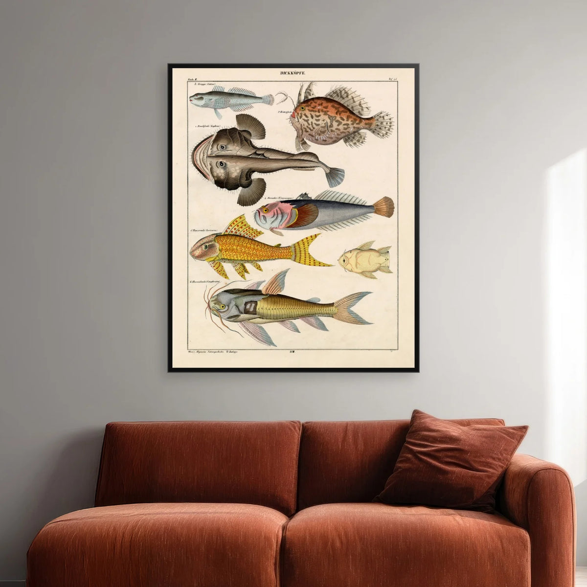 Særlige fisk 1836 - Naturhistorisk tavle - 60×74 cm – billede 2