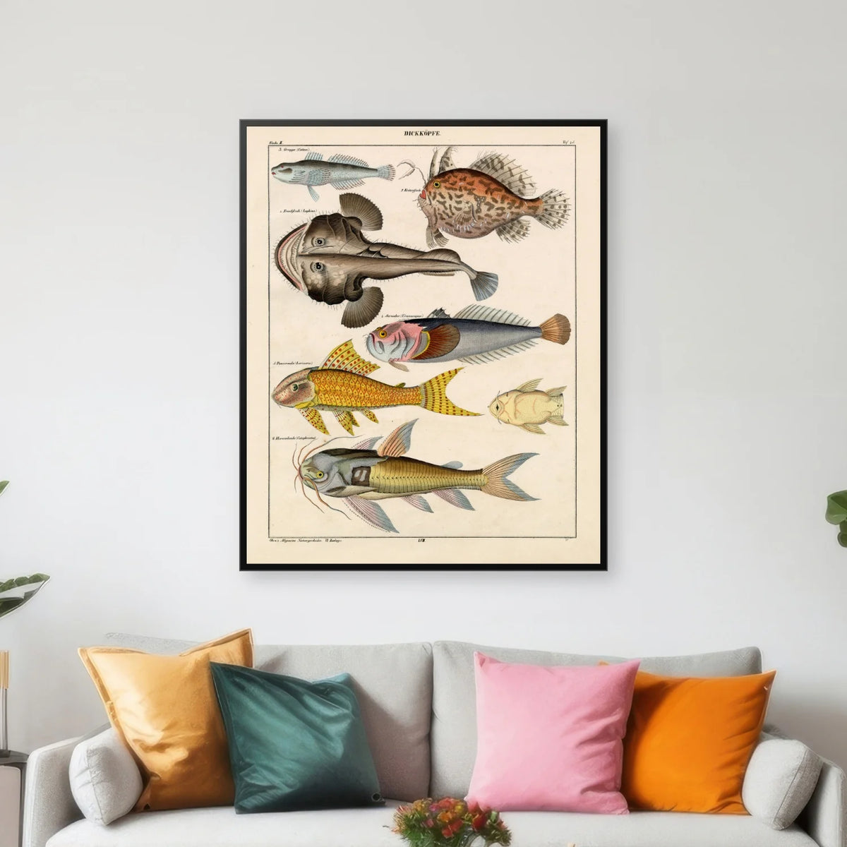 Særlige fisk 1836 - Naturhistorisk tavle - 60×74 cm – billede 3