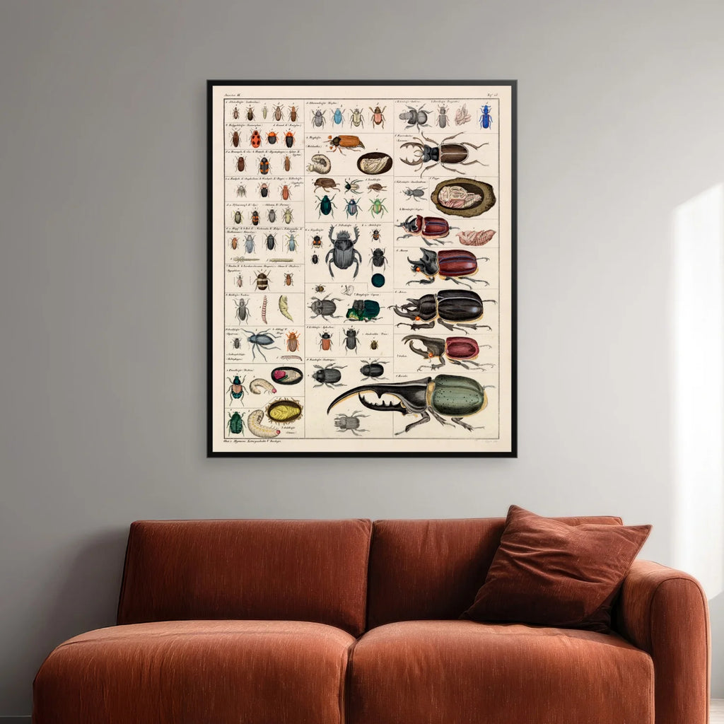 Billekompendium 1836 - Naturhistorisk tavle - 60×73 cm – billede 2