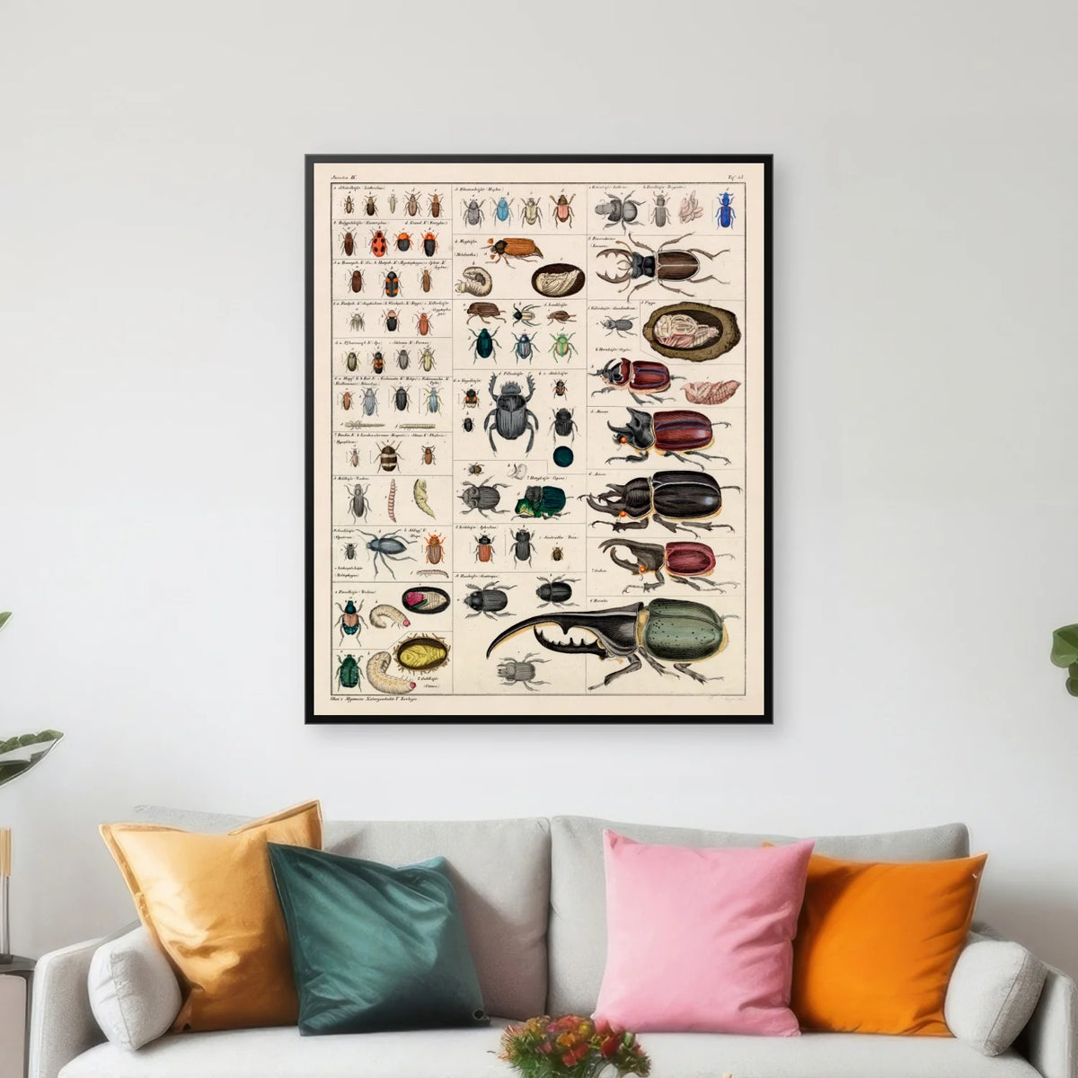 Billekompendium 1836 - Naturhistorisk tavle - 60×73 cm – billede 3