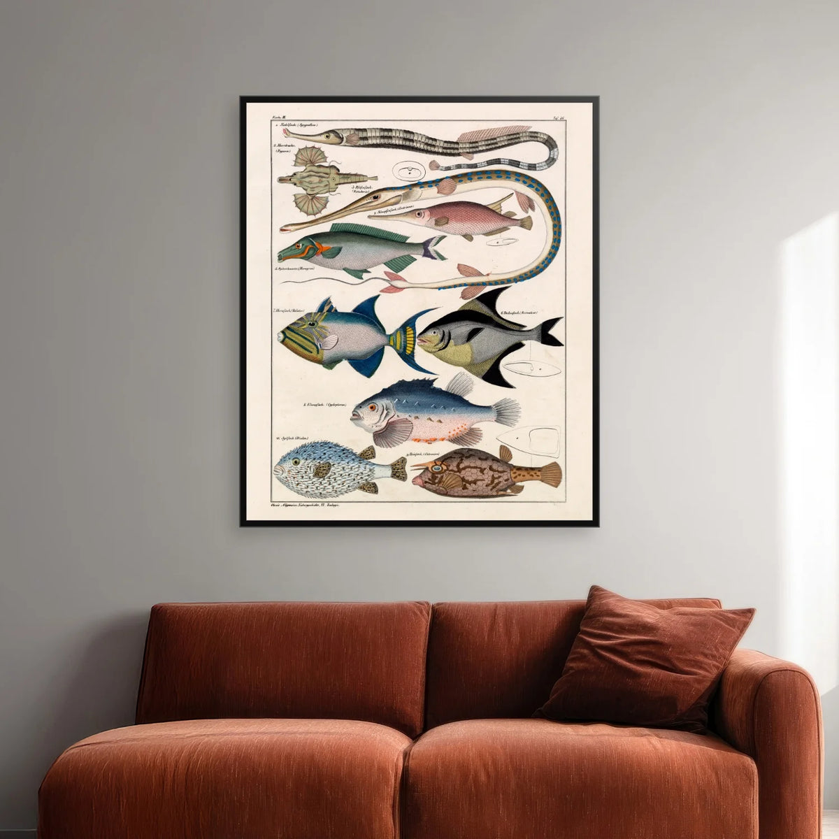 Farverige fisk 1836 - Naturhistorisk tavle - 60×72 cm – billede 2