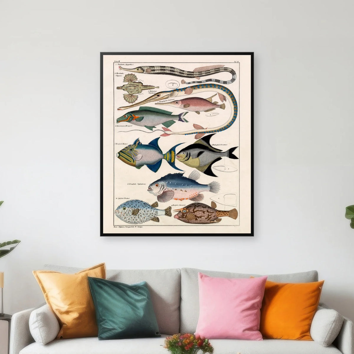 Farverige fisk 1836 - Naturhistorisk tavle - 60×72 cm – billede 3