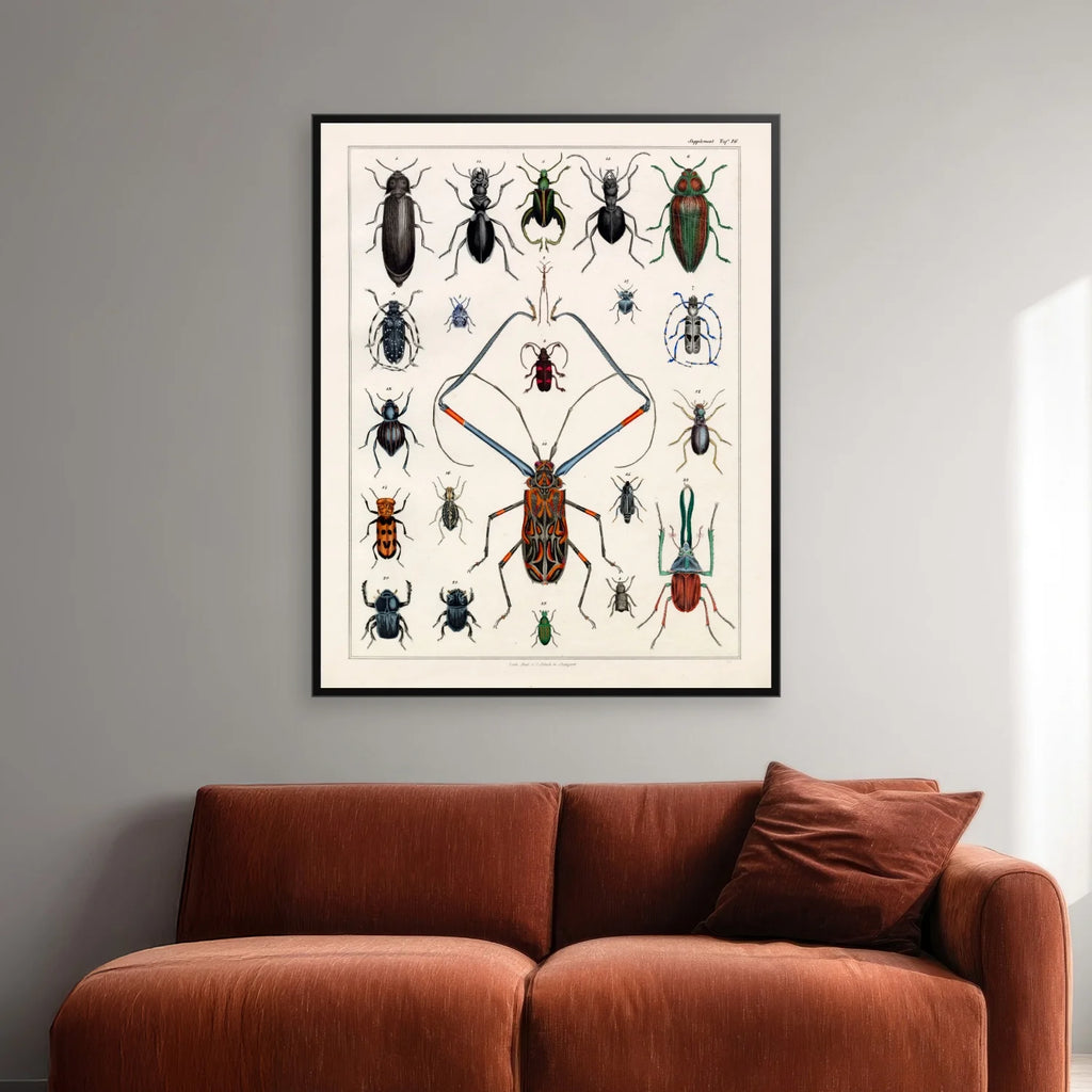 Langhornsbille og insekter 1836 - Naturhistorisk tavle - 60×75 cm – billede 2
