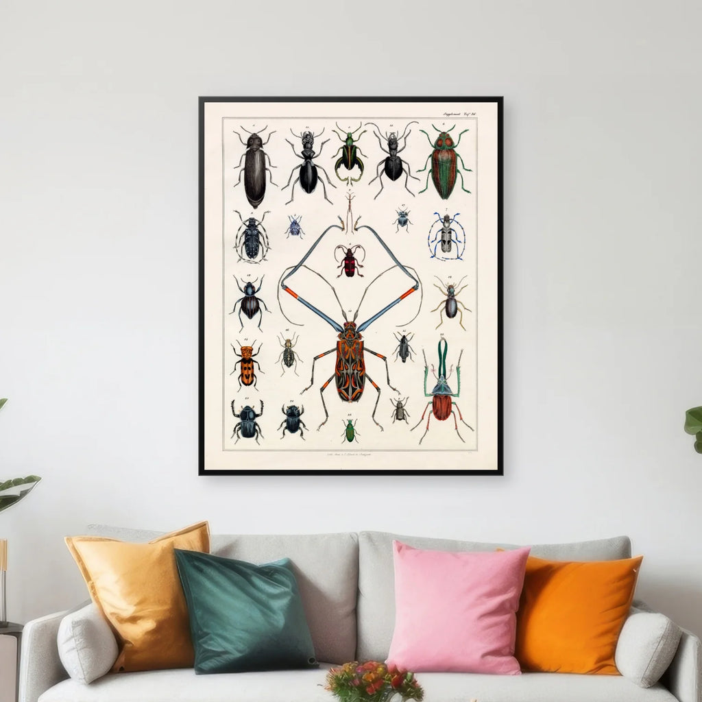 Langhornsbille og insekter 1836 - Naturhistorisk tavle - 60×75 cm – billede 3