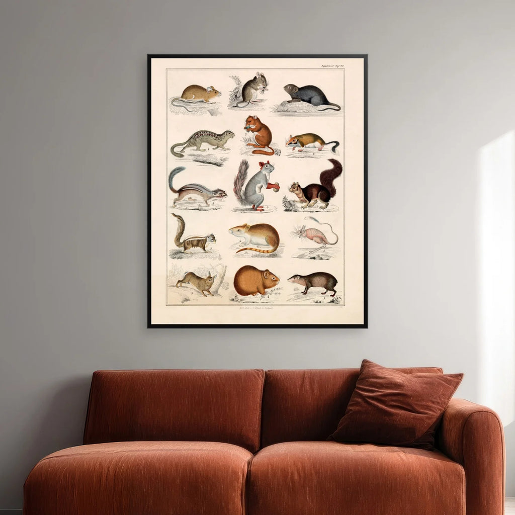 Små pattedyr og firben 1836 - Naturhistorisk tavle - 60×74 cm – billede 2