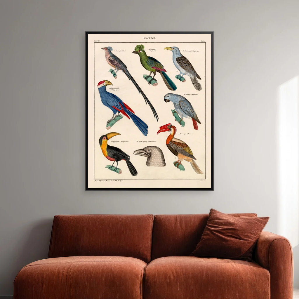 Eksotiske fugle 1836 - Naturhistorisk tavle - 60×74 cm – billede 2