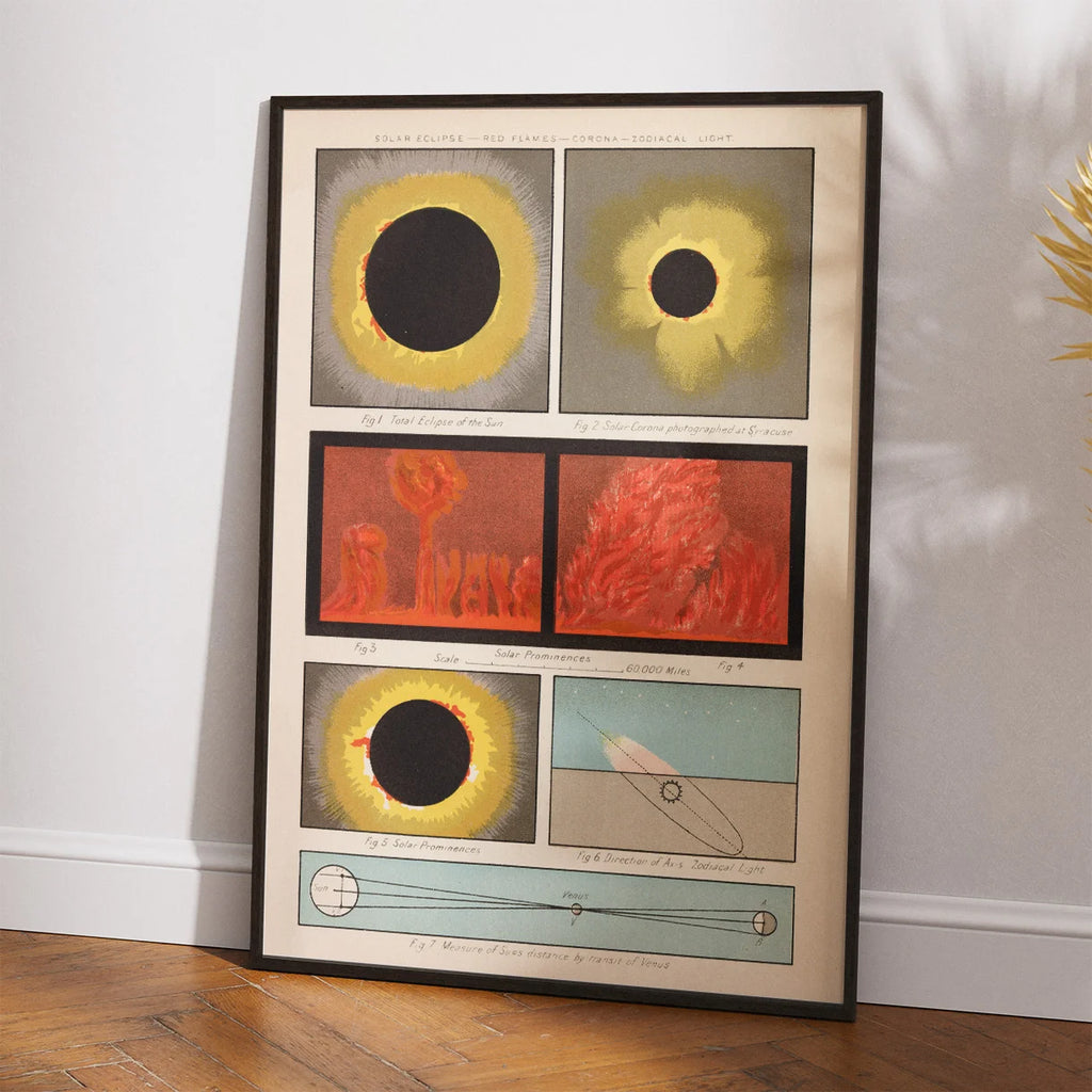 Solstudier 1880 - Astronomisk tavle – billede 2