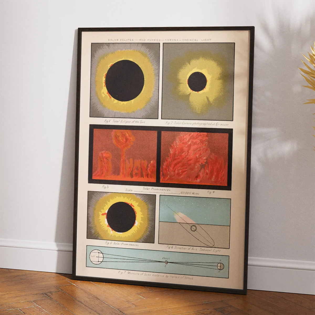 Solstudier 1880 - Astronomisk tavle – billede 2
