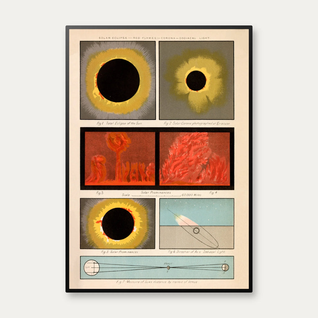 Solstudier 1880 - Astronomisk tavle – billede 1