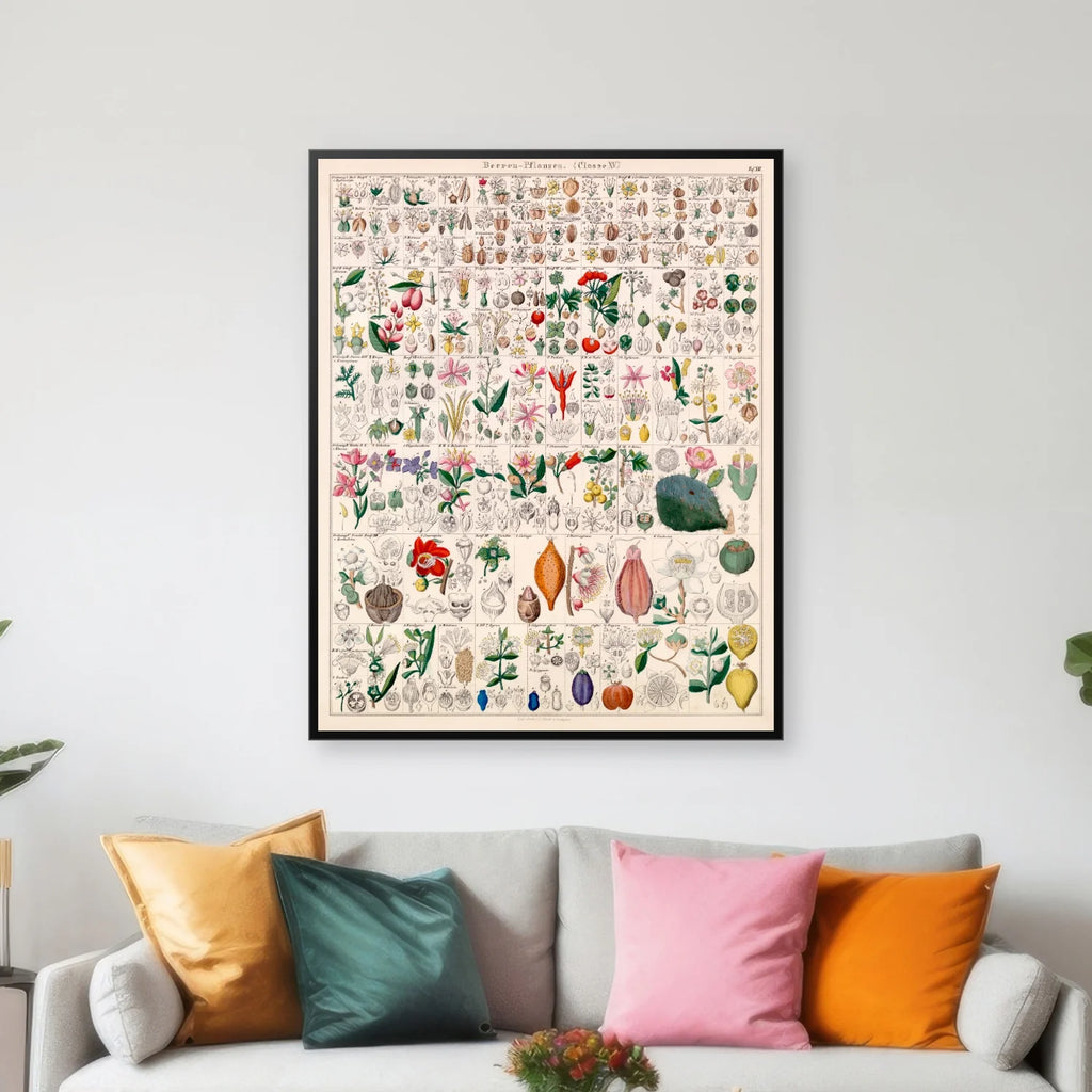 Bærplanter 1836 - Botanisk tavle - 60×75 cm – billede 3