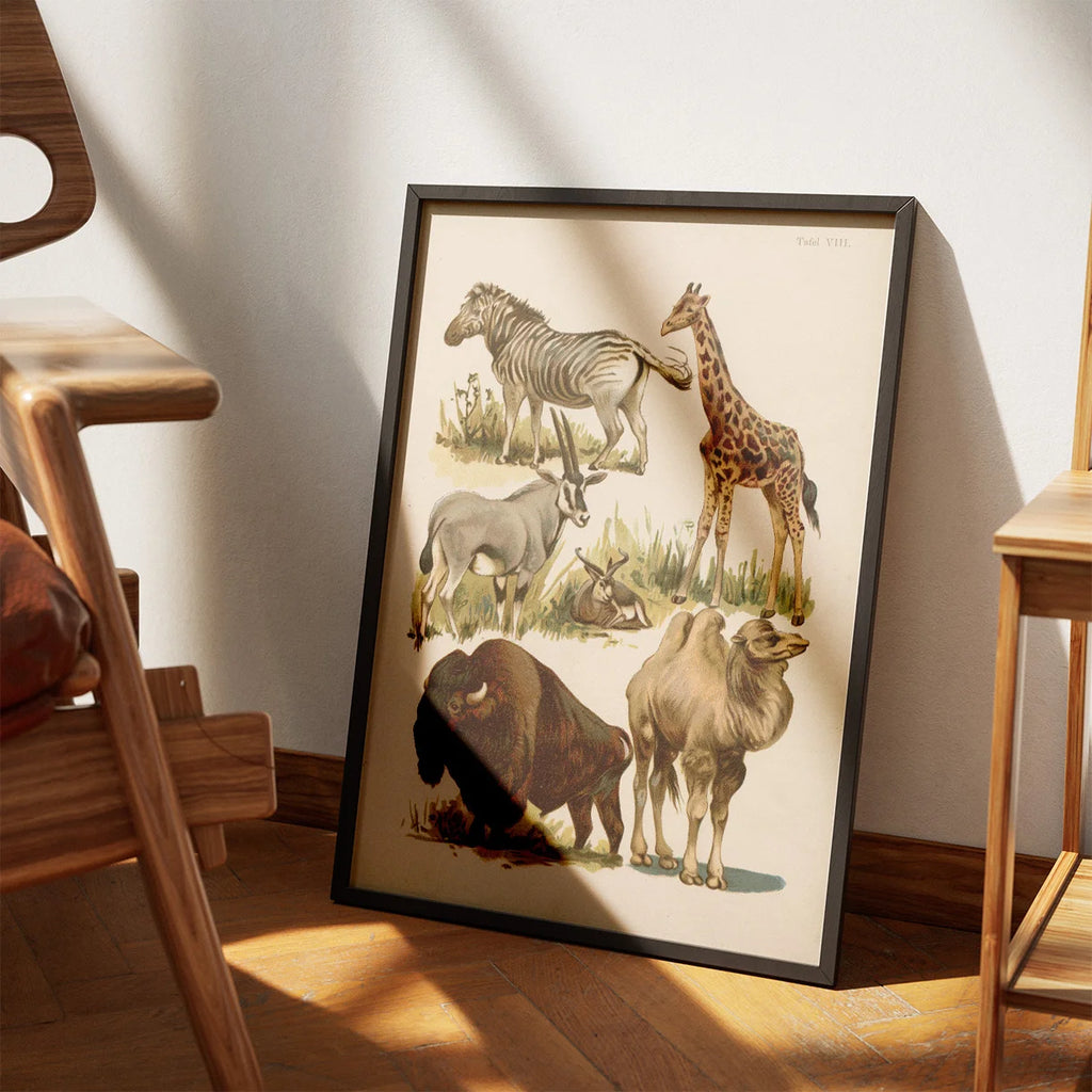 Savannedyr 1800-tallet - Naturhistorisk tavle – billede 3