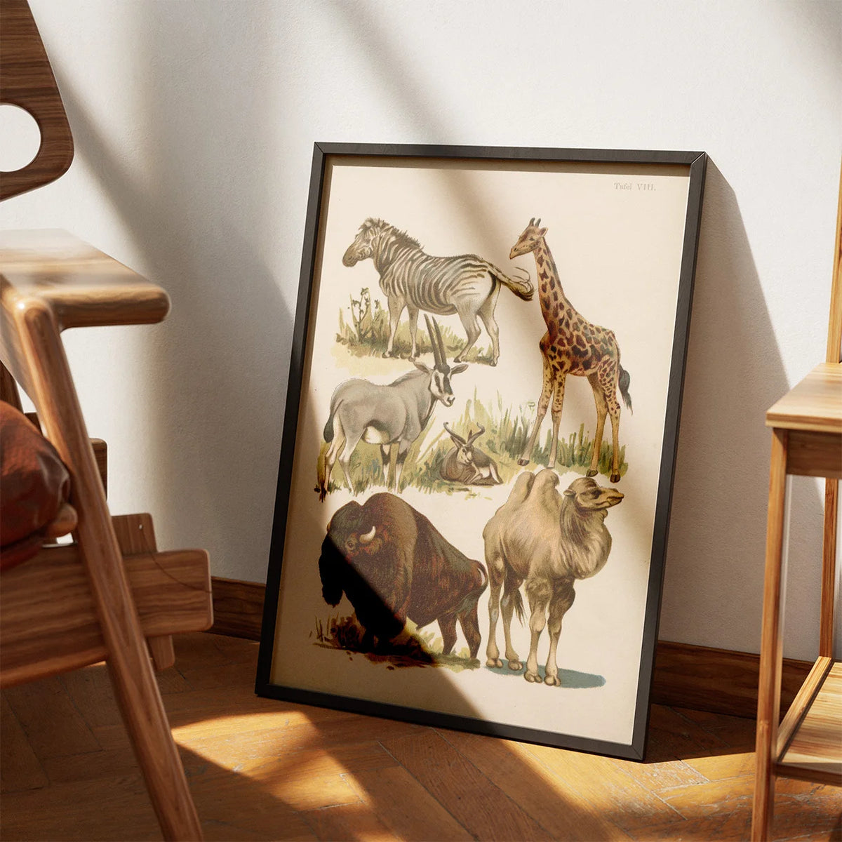 Savannedyr 1800-tallet - Naturhistorisk tavle – billede 3