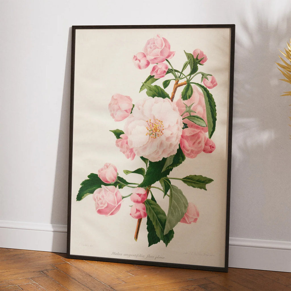 Paradistræ 1900-tallet - Botanisk plakat – billede 2