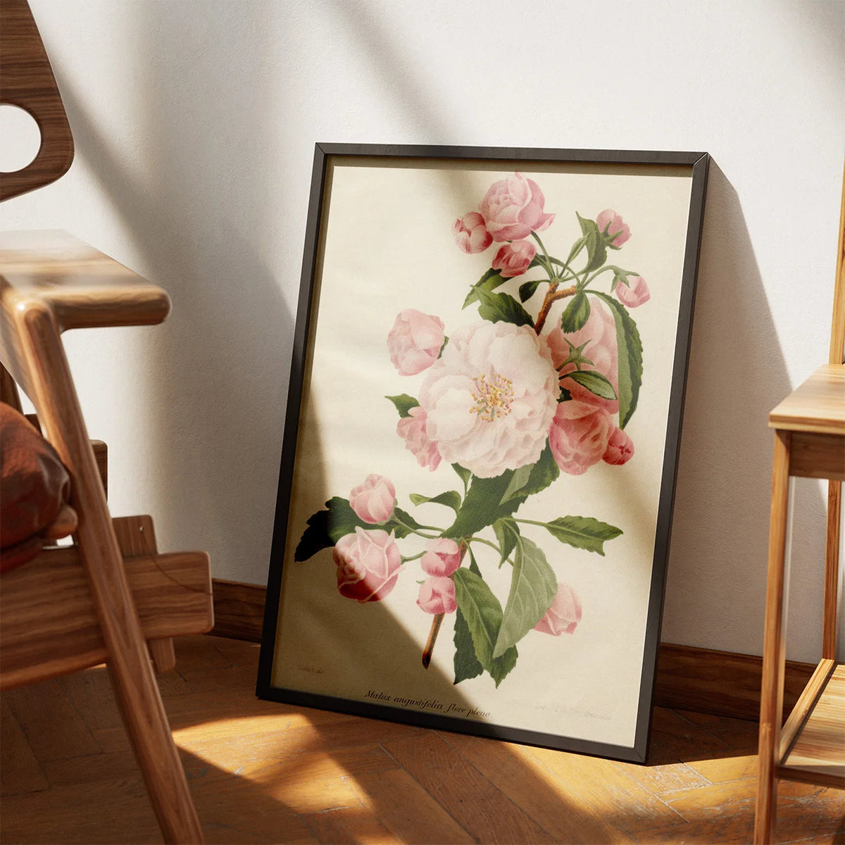 Paradistræ 1900-tallet - Botanisk plakat – billede 3