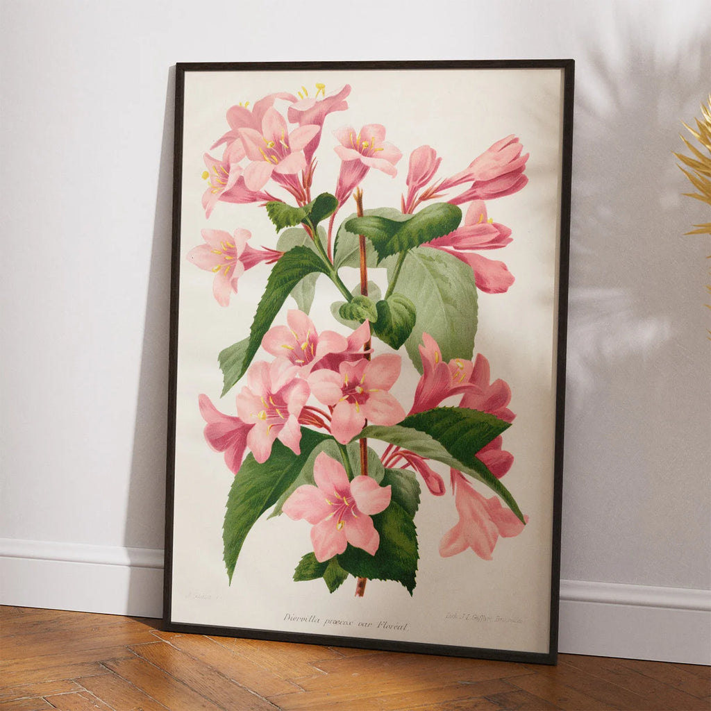 Tragtblomster 1900-tallet - Botanisk plakat – billede 2