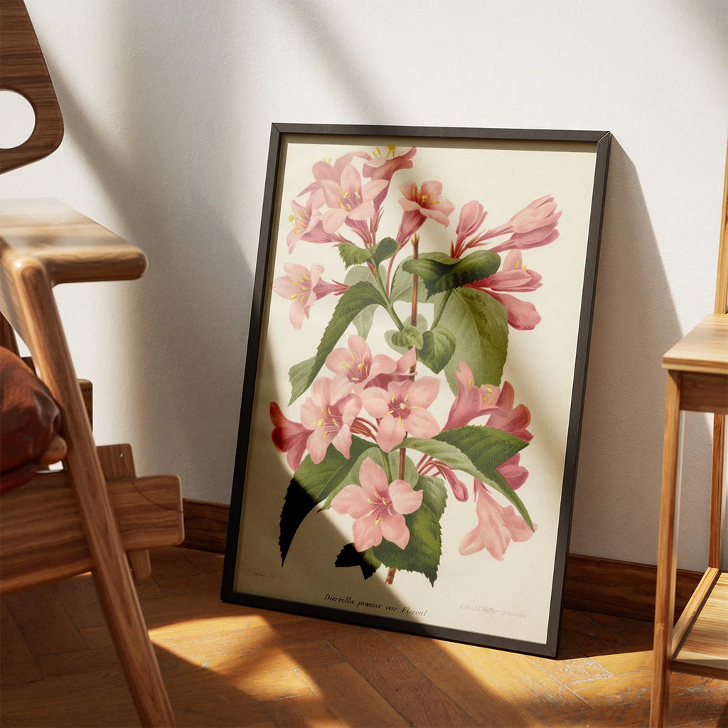 Tragtblomster 1900-tallet - Botanisk plakat – billede 3