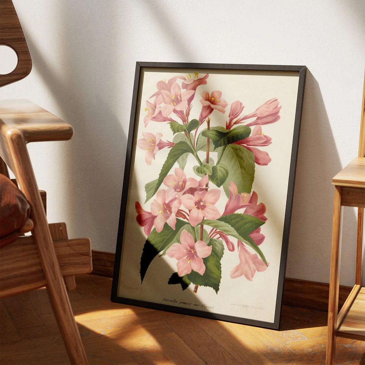 Tragtblomster 1900-tallet - Botanisk plakat – billede 3