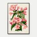 Tragtblomster 1900-tallet - Botanisk plakat – billede 1