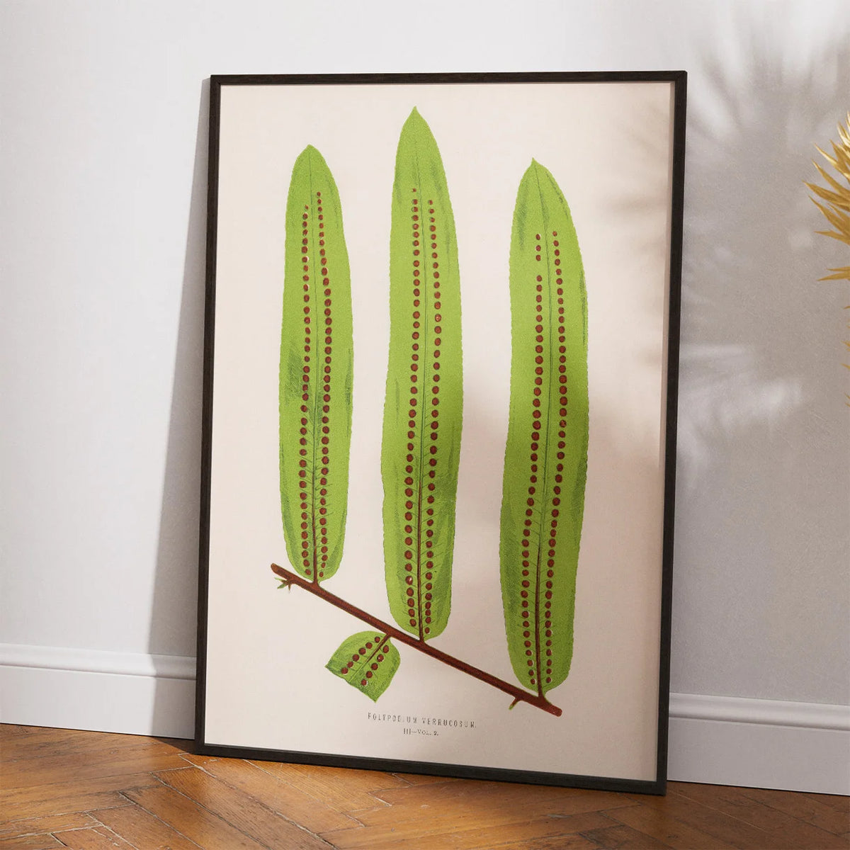 Bregner 1856 - Botanisk plakat – billede 2