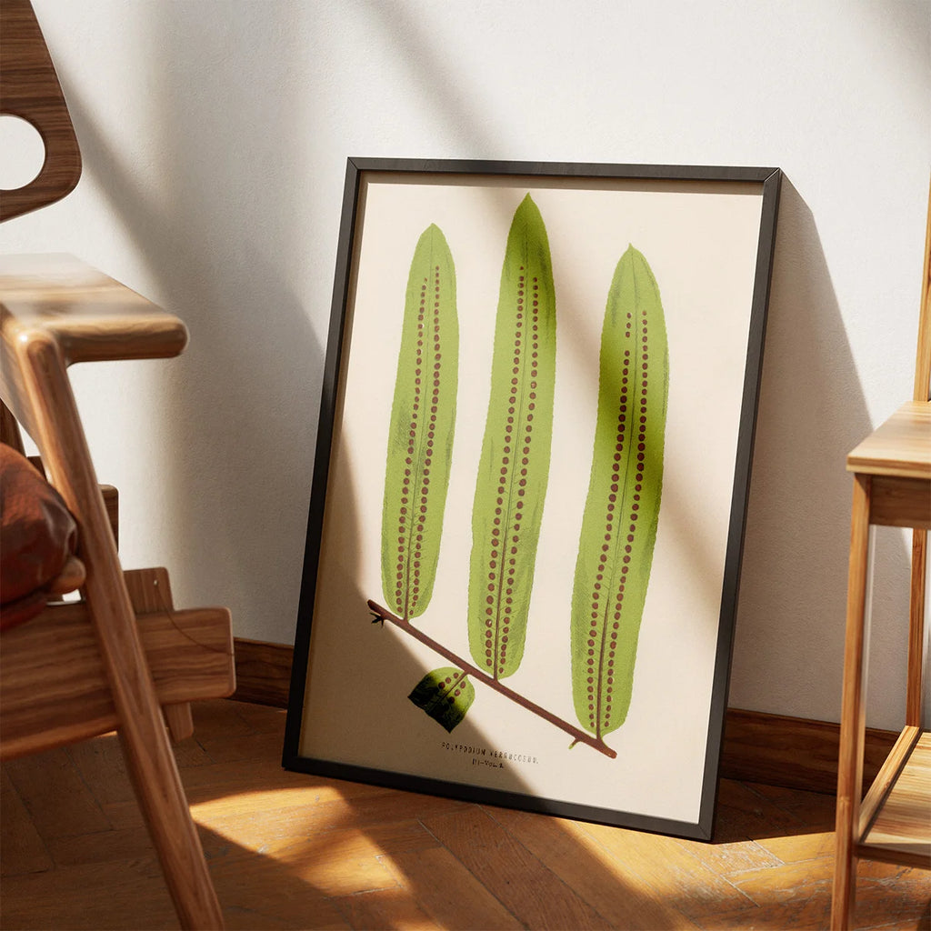 Bregner 1856 - Botanisk plakat – billede 3