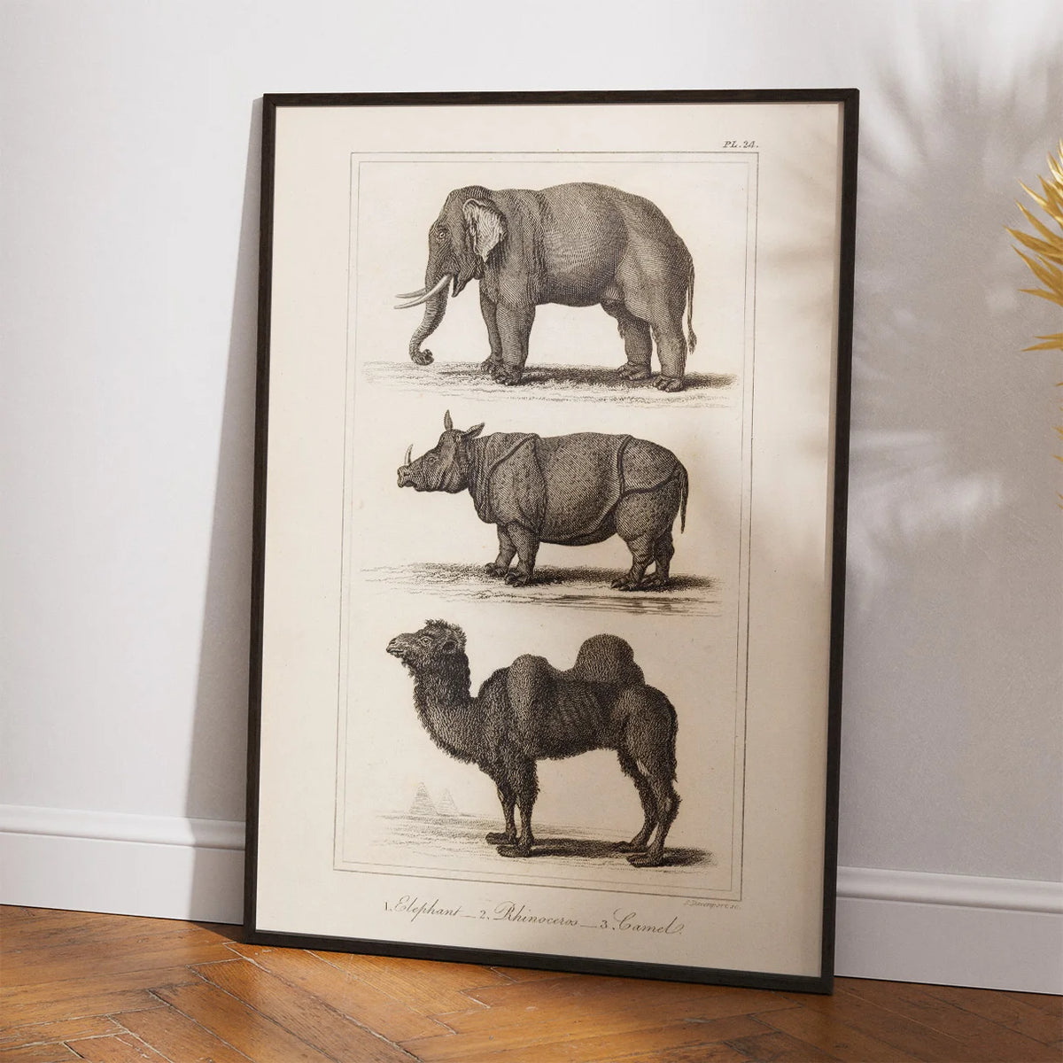 Elefant, næsehorn og kamel 1821 - Zoologisk tavle – billede 2