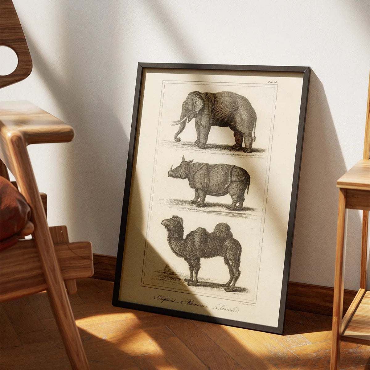 Elefant, næsehorn og kamel 1821 - Zoologisk tavle – billede 3
