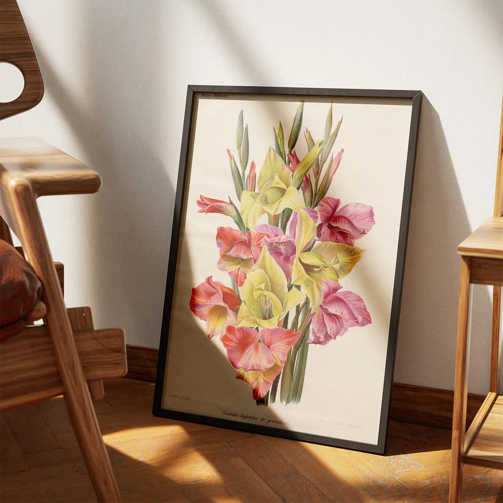 Gladiolus 1900-tallet - Botanisk plakat – billede 3