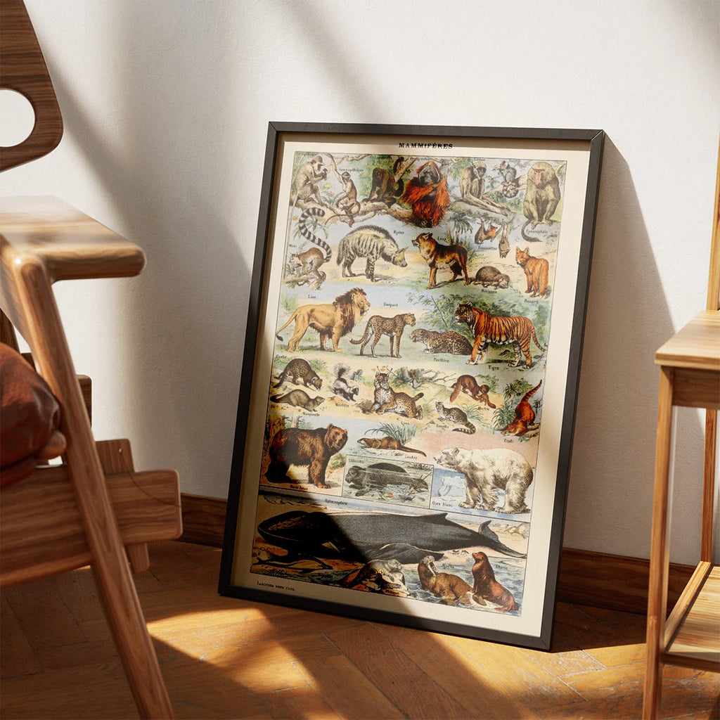 Millot Dyreillustrationer - Le Larousse pour tous – billede 3